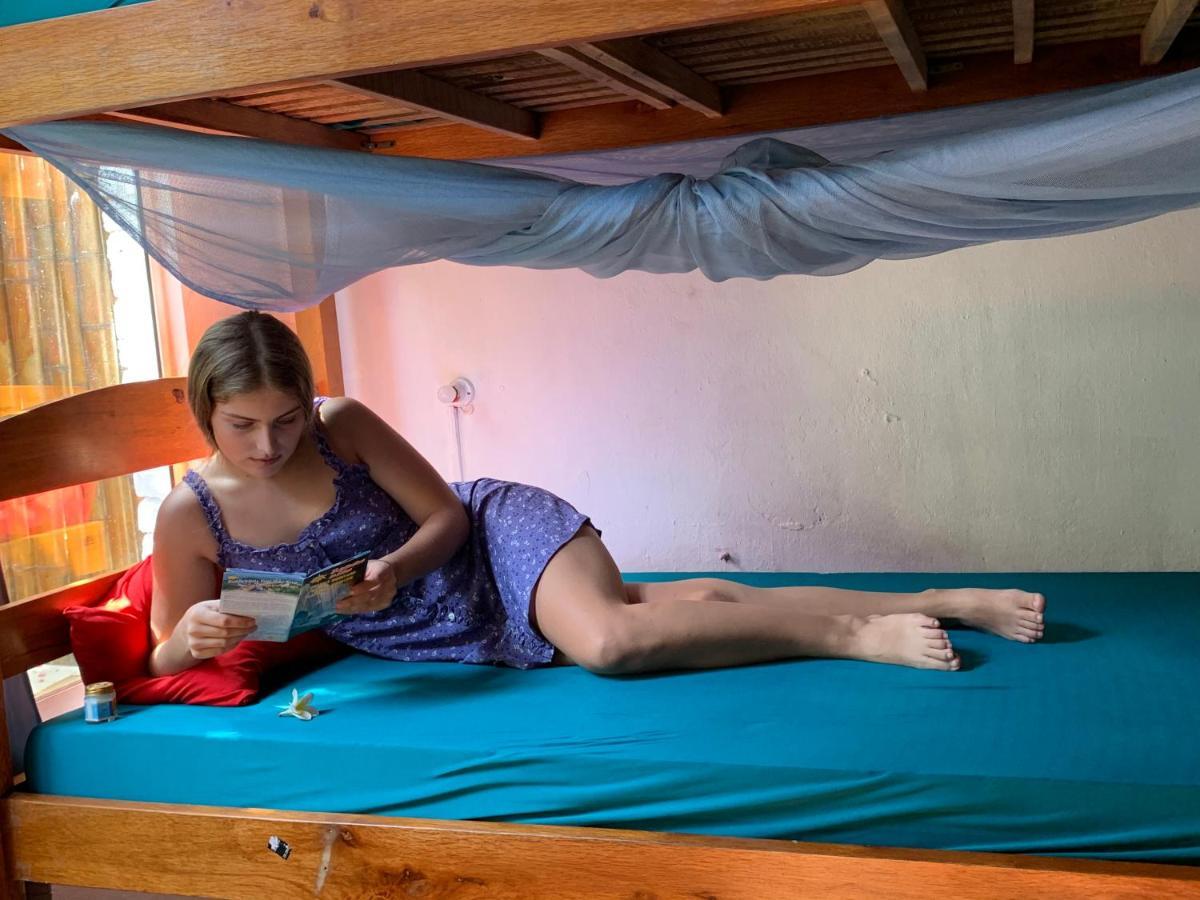 Serendipity Hoi An Hostel Экстерьер фото